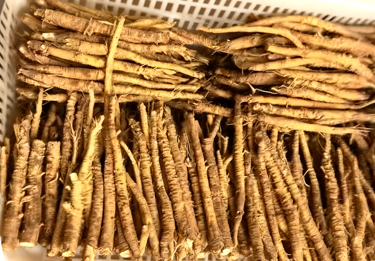 【GAP延伸检查】山东省...